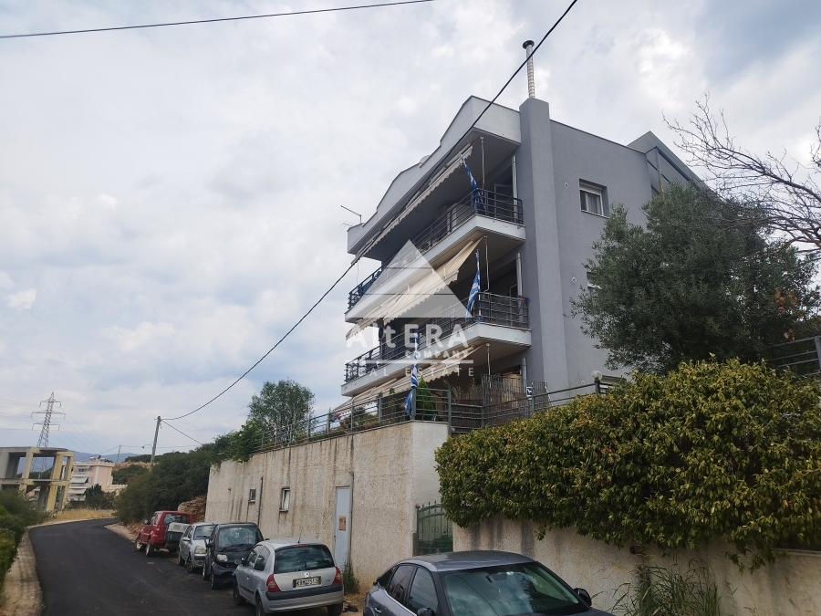property-img