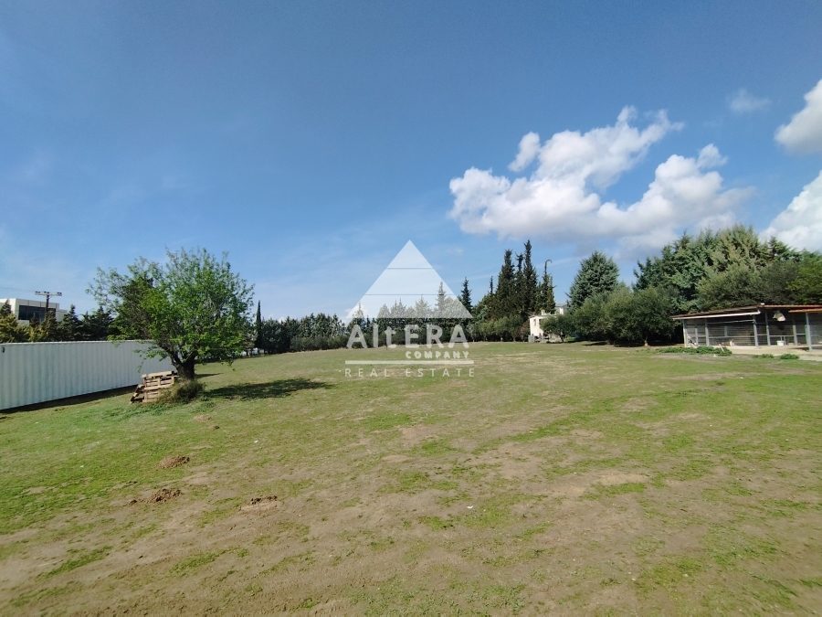 property-img